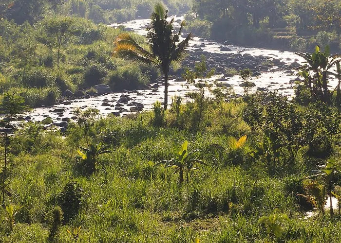 Uma D Mapad Lodge Sidemen (Bali)