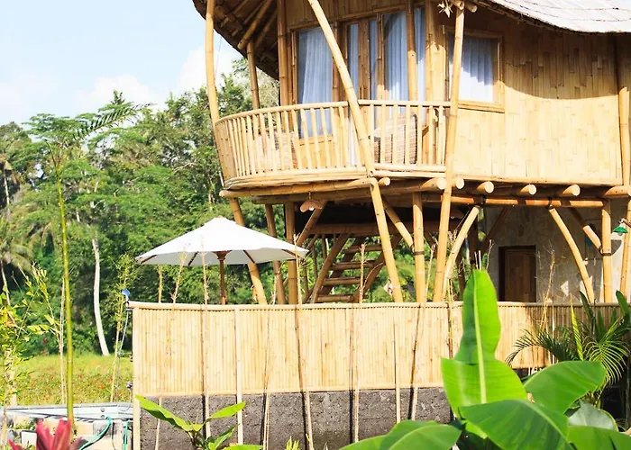 Lodge Uma D Mapad