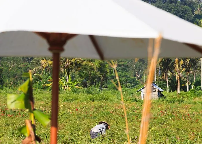Uma D Mapad Lodge Sidemen (Bali)